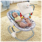 X7045-newborn-to-toddler-apptivity-seat-b-2