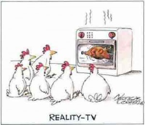 Chicken Reality TV